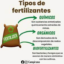 Fertilizantes