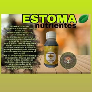 Flower Genesis Estoma Nutrientes 2