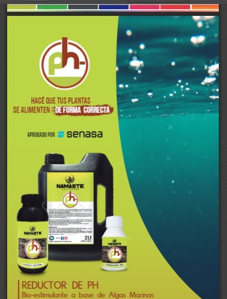 PH- 100 ml