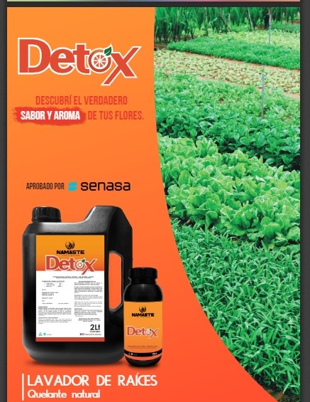 D-Tox 500 ml