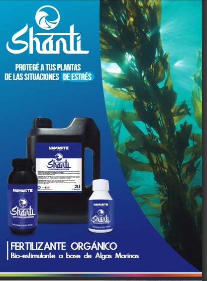 Shanti 100ml